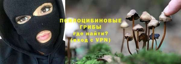 герыч Касимов