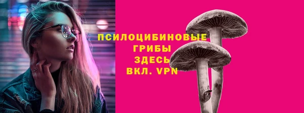 индика Козловка