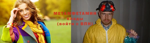 индика Козловка