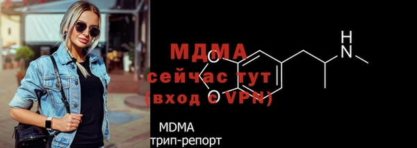 индика Козловка