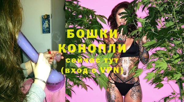 гашик Козельск