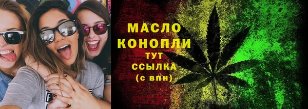 гашик Козельск