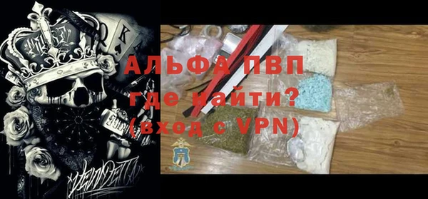 гашик Козельск