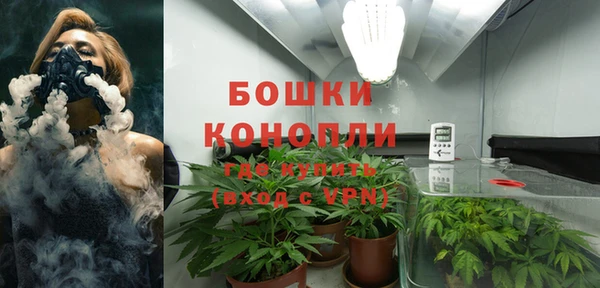 гашик Козельск