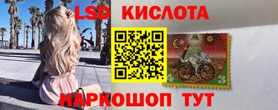 сатива Краснокаменск