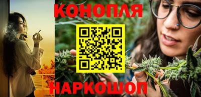 сатива Краснокаменск