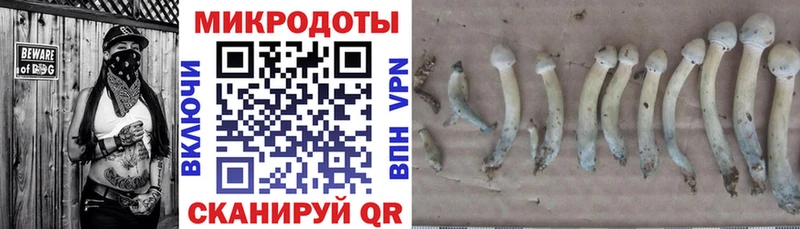 Галлюциногенные грибы Magic Shrooms  hydra как войти  Касимов 