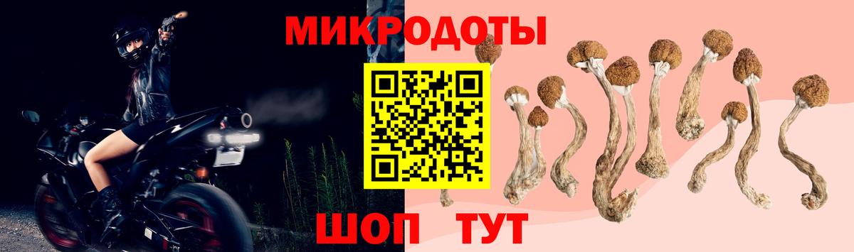 Галлюциногенные грибы MAGIC MUSHROOMS Касимов